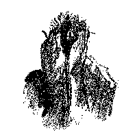 example image