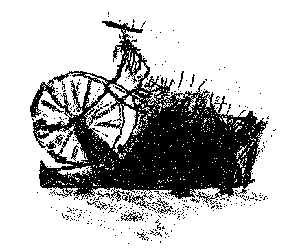 example image